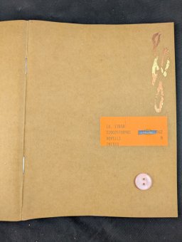 Libri Artista  &raquo; Quasi Fiori
